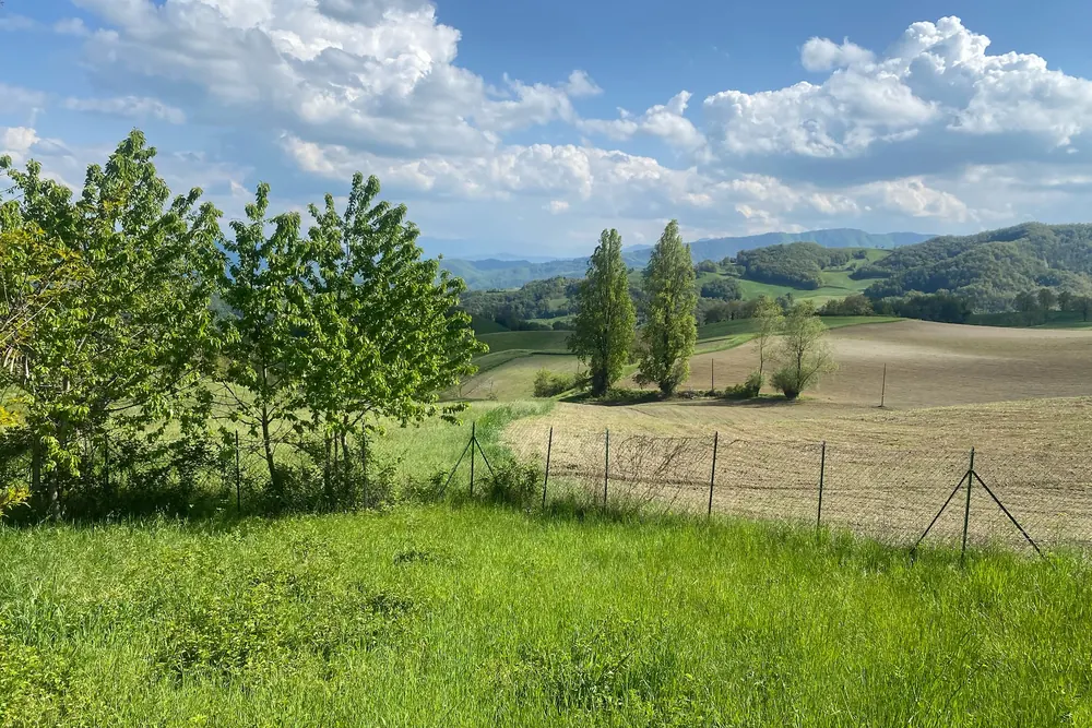 Panorama sulle colline dell'Appennino parmense a perdita d'occhio da Urzano